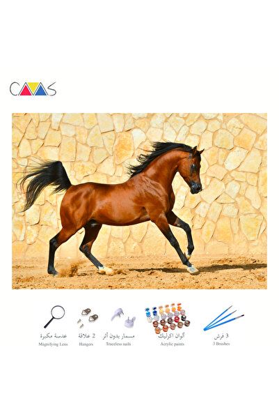 Canvasstore لوحة حصان عربي - ٢٤ لونًا، رسم بالأرقام، ٤٠*٥٠ سم، قماش
