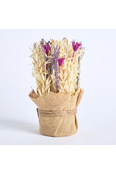 Home Box Miley Flower Arrangement in Coco Pot - 15 cm