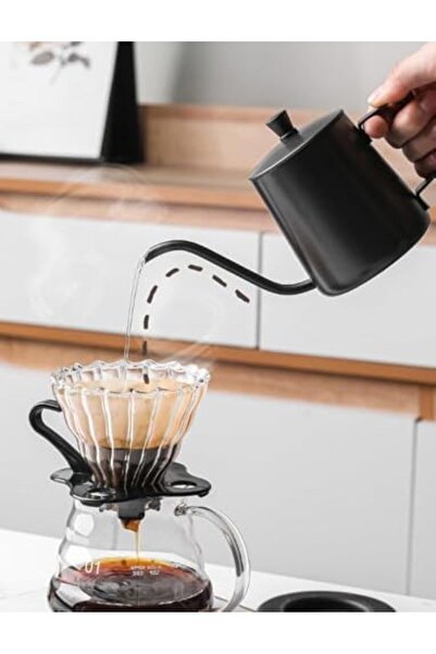 mastergold V60 Coffee and Tea Pouring Kettle by with Lid | Stainless Steel Coffee Kettle | Long Narr