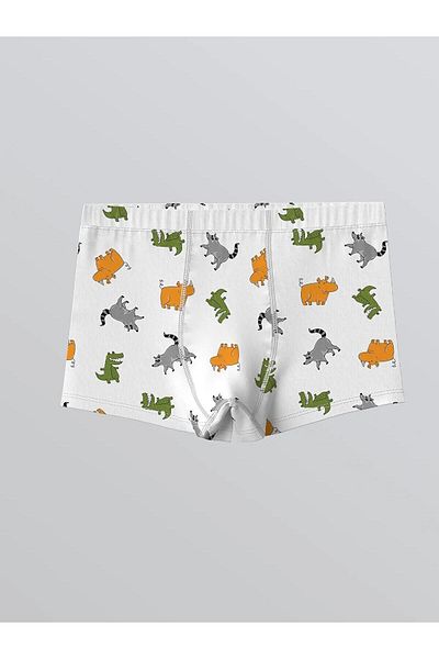 LC Waikiki Lcw Printed Combed Cotton Boy Boxer 3-Piece (W5)