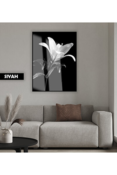 Harika bir ev HARİKABİREV|SİYAH&BEYAZ ZAKKUM ÇİÇEĞİ MODELİ |ÇERÇEVELİ TEMPERL...