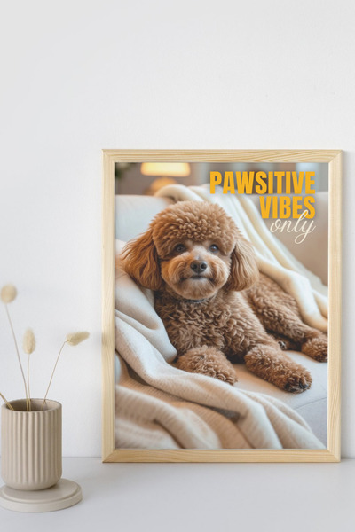 Funzee Toy Poodle Poster Series - Fun & Humorous Home Decor - No Frame