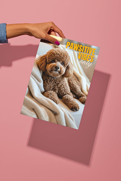 Funzee Toy Poodle Poster Series - Fun & Humorous Home Decor - No Frame