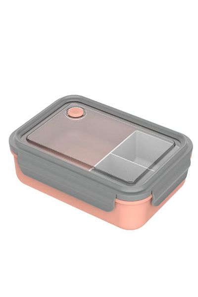 rexa Lunch Box Rectangle with Removable Partition – Peach/Grey