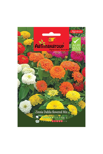 agrimax بذور زينيا داليا مزيج أزهار عالي الجودة (صنع في إسبانيا)