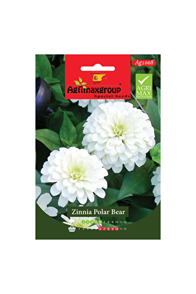 agrimax بذور زينيا الدب القطبي عالية الجودة (صنع في إسبانيا)