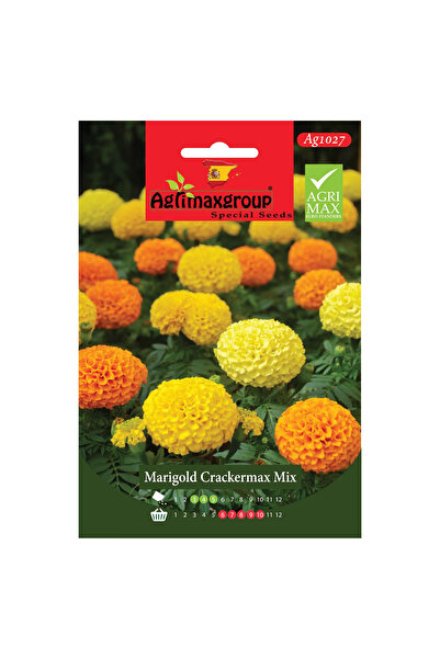 agrimax بذور القطيفة كراكير ماكس ميكس عالية الجودة (صنع في إسبانيا)