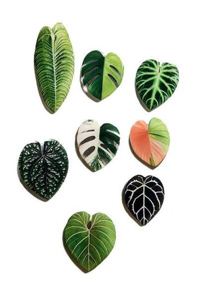 Generic 8pcs Resin Magnetic Fridge Stickers, Simulation Plant Leaf Pattern,Ho...