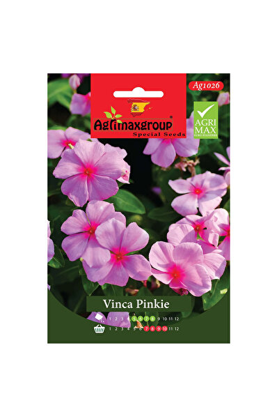 agrimax بذور فينكا بينكي عالية الجودة (صنع في إسبانيا)