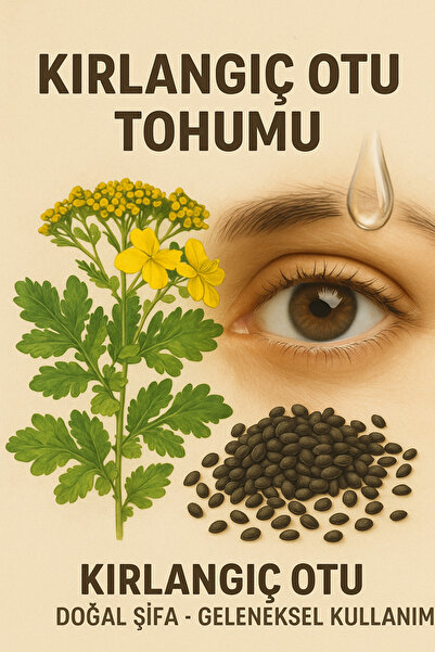 köydekiadam Kırlangıç otu tohumu 500 adet-Ev içi saksı ekimi