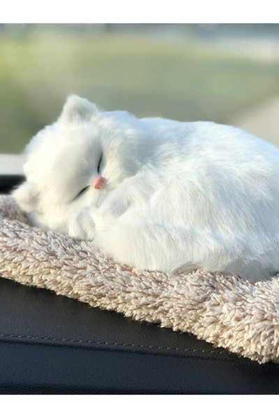 moryconcept Minder Üstünde Uyuyan Sevimli Kedi Sesli