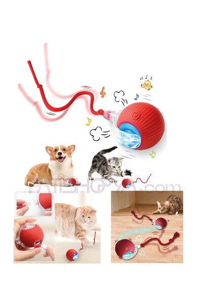 PATİSHOPYA 3 Modlu Şarjı İpli Akıllı Kedi Oyun Topu