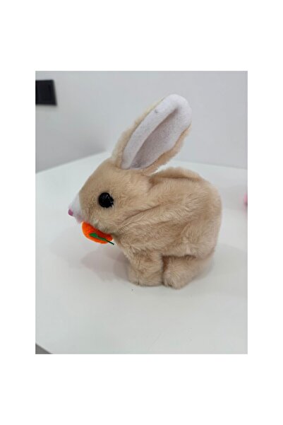 RIDVAN Pilli Sesli Ve Işıklı Zıplayan Peluş Tavşan Tekli.