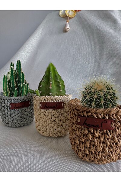 henaabag 3lü hasır saksı seti, kâğıt ip kaktüs saksısı