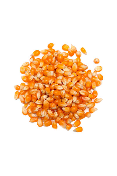 POPCORN Pop Corn , 1 Kg Weighable