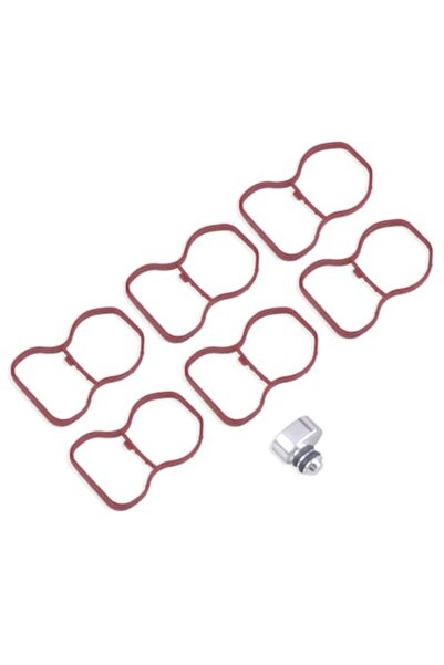 INGENIO Set dopuri și garnituri pentru ștergerea clapetei de admisie — BMW N5...