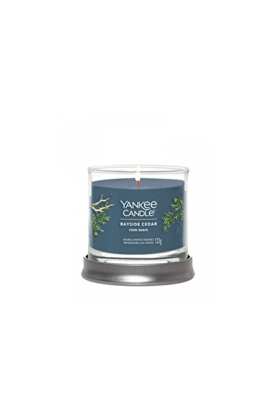 Yankee Candle Pahar mic Bayside Cedar