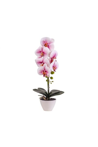 LOVE Orhidee cu aspect in ghiveci ceramic alb, H 47 cm