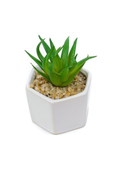 pami accessories Plantă suculentă artificială în ghiveci ceramic