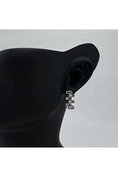 TAKIŞINA Special Series Silver Stone Detailed Earrings - Silver