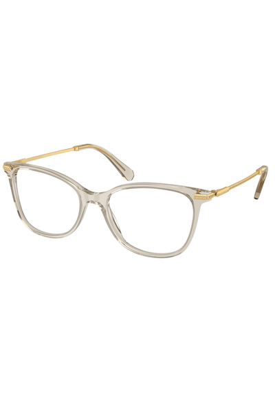 Swarovski Women's eyeglasses frames SK2010 3003, Plastic, Brown, 52 mm