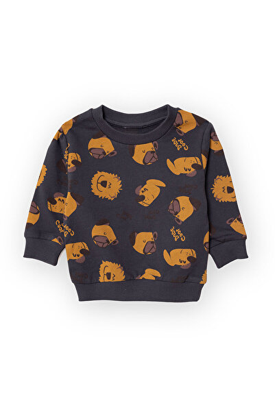 ebebek Hello Baby HelloBaby Köpek Desenli Sweatshirt Erkek Bebek