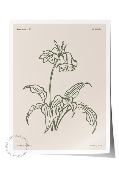 Postifull Αισθητική αφίσα τοίχου - Αφίσα χωρίς πλαίσιο με βοτανικό σχέδιο - Δ...