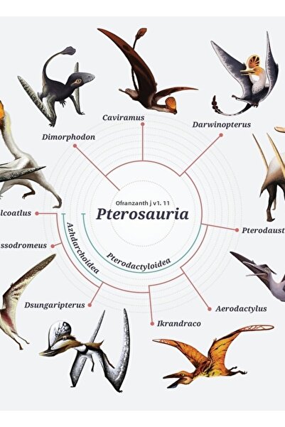 Universal Птерозаври: Декоративен дървен плакат-кладограм