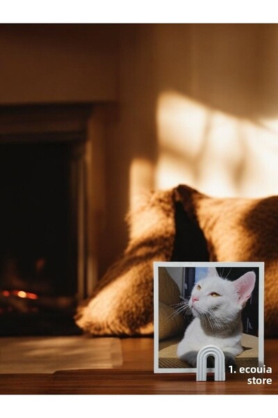 Main Collectibles Minimalist Photo Stand - Set of 3