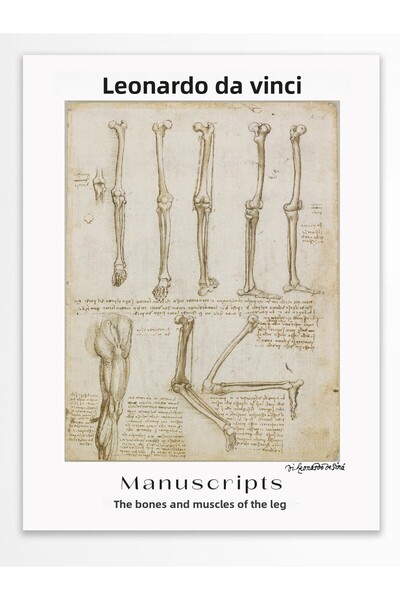 Postifull Αφίσα τοίχου Leonardo Da Vinci - Σειρά Art - Χοντρό χαρτί - Χωρίς π...