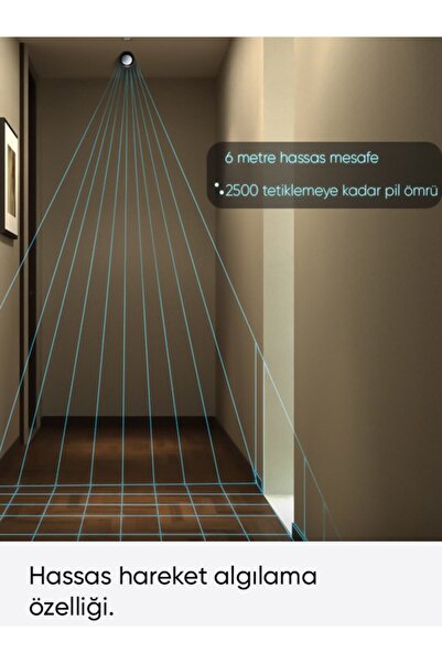 Şımart Teknoloji Akıllı Pır Hareket Sensörü Güvenlik Ve Otomasyon Için Hassas Algılama