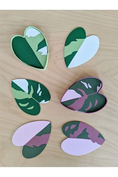 genomera Philodendron Pink/Green Princess Coaster