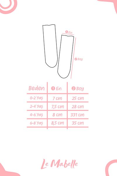 Le Mabelle Girl's Dried Rose Tulle Socks - Star Detailed