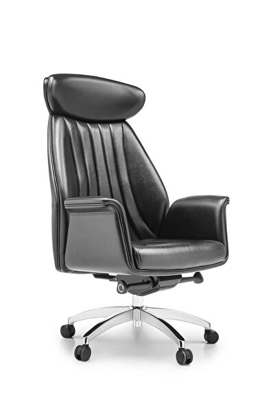 Flekssit Royal Ofis | Yönetici | Çalışma | Makam Koltuğu