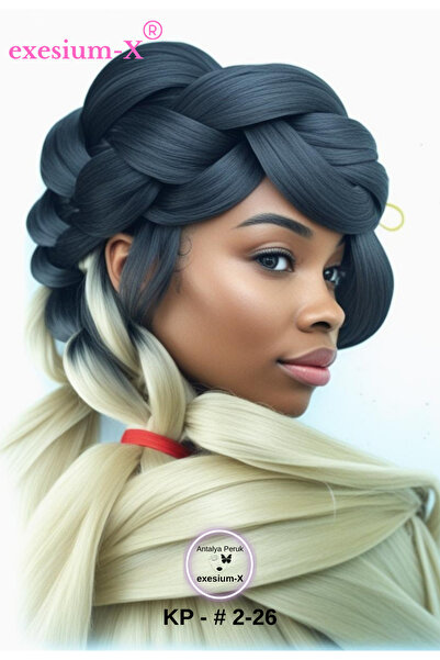 X-Pression Synthetic Hair for African Braids & Rasta 2-26-Black-Platinum 165 Gr