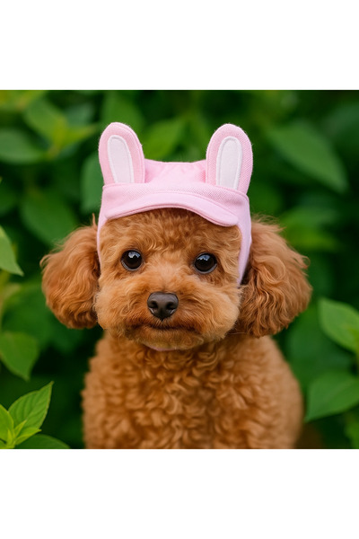 Dolce Pets Kedi Köpek Kıyafeti Tavşan Kulaklı Şapka