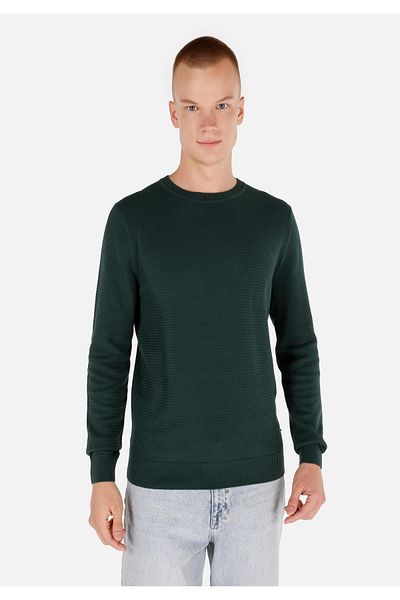 Colin's Regular Cut Crew Neck Green Men's Sweater Cl 1046786