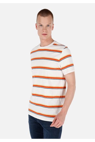Colin's Regular Fit Crew Neck Stripe Print White Men's Short Sleeve T-Shirt