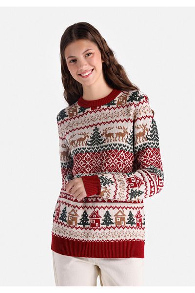Colin's Regular Fit Round Neck Printed Women's Burgundy Sweater