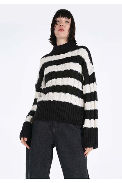 Colin's Regular Fit Half Turtleneck Striped Women's Black Sweater