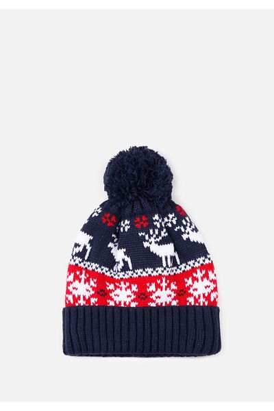 Colin's Men's Multicolor Beanie