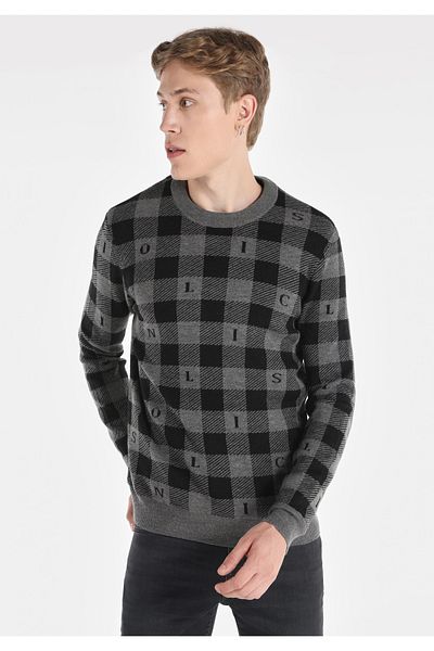 Colin's Gray Regular Fit Crew Neck Men's Sweater