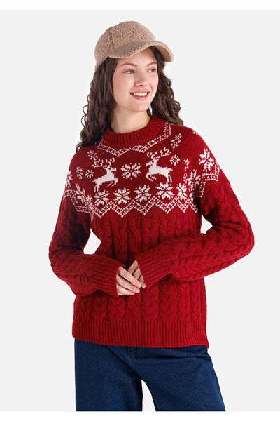 Colin's Regular Fit Round Neck Printed Women's Burgundy Sweater