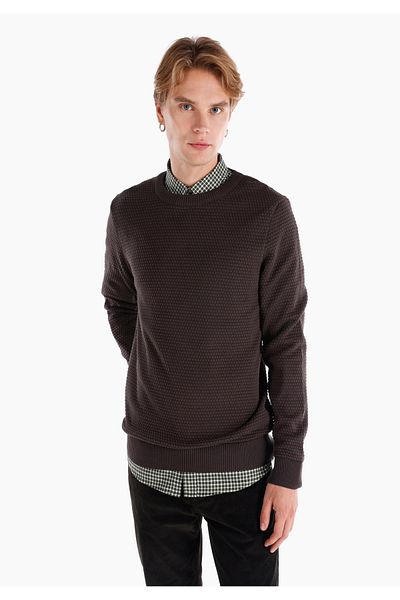 Colin's Men's Sweater - Regular Fit, Crew Neck, Brown