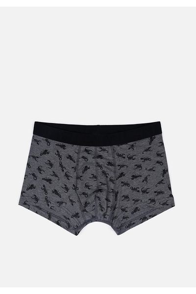 Colin's Anthracite Men's Underwear