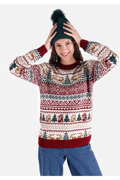 Colin's Regular Fit Round Neck Printed Women's Burgundy Sweater