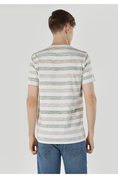 Colin's Regular Fit Round Neck Striped Men's Green Short Sleeve T-Shirt