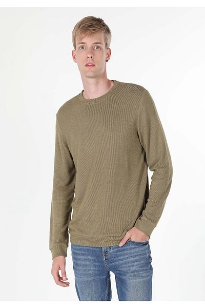 Colin's Regular Fit Crew Neck Green Men's Long Sleeve T-Shirt