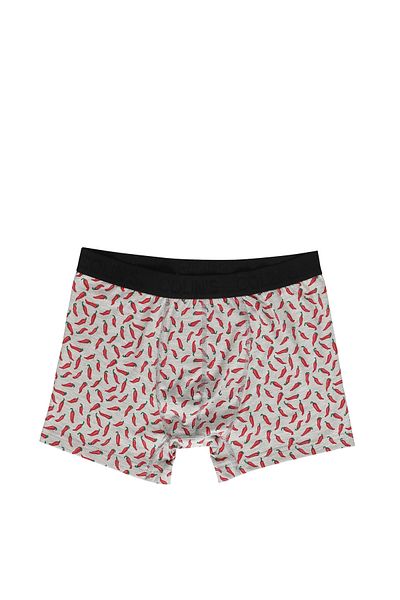 Colin's Modern Fit Printed Men's Gray Boxers
