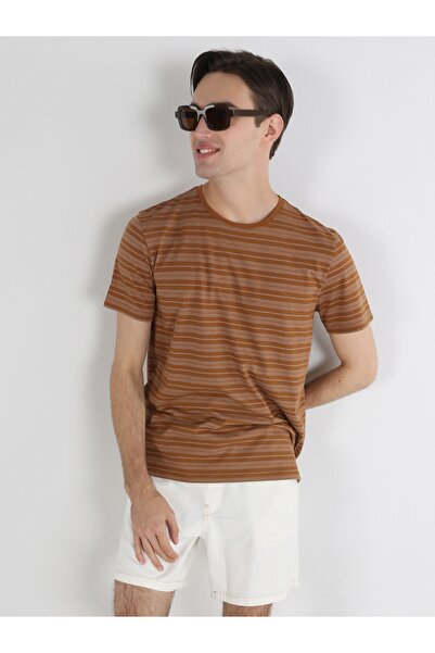 Colin's Regular Fit Round Neck Striped Men's Brown Short Sleeve T-Shirt